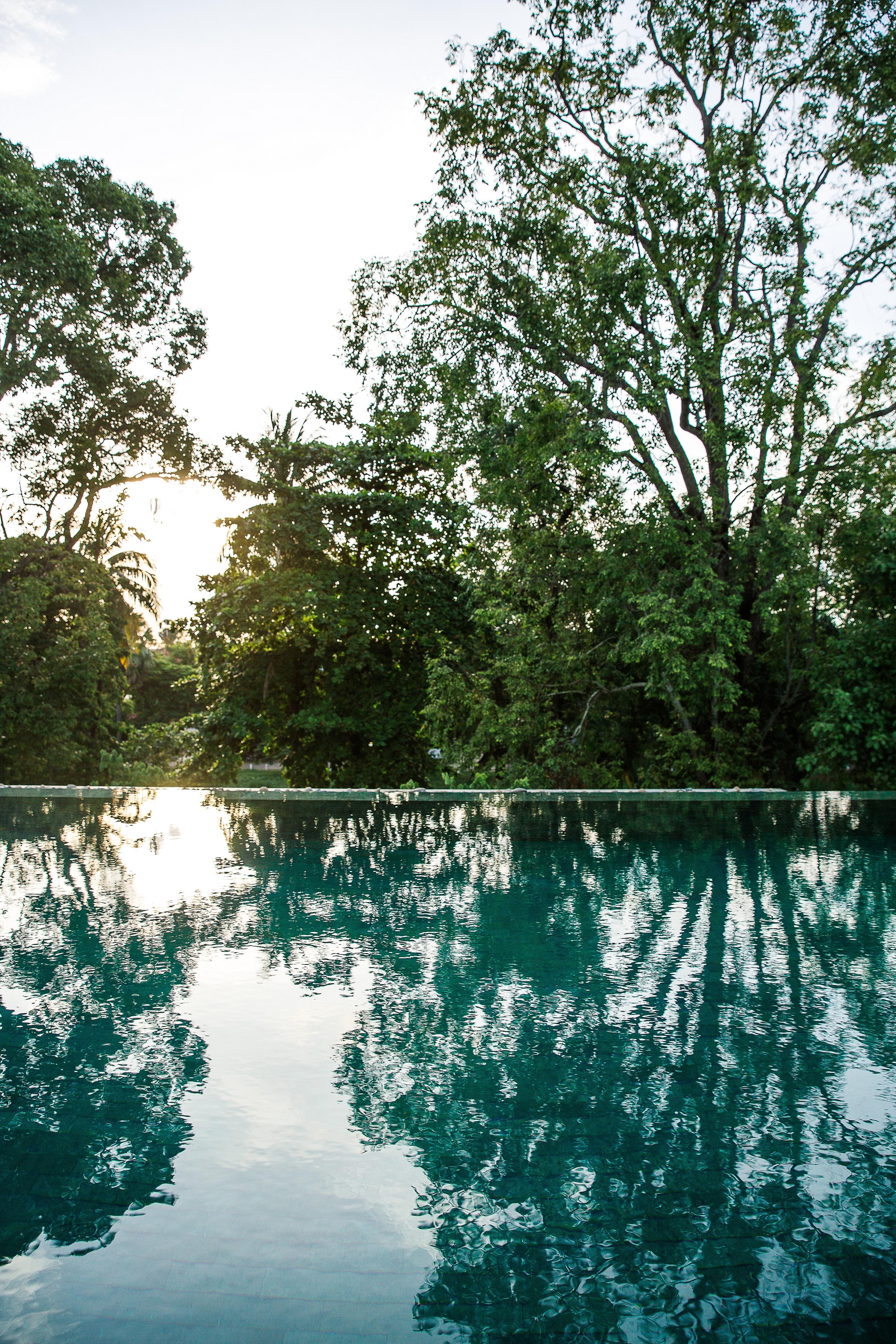 Treeline Urban Resort Siem Reap Zewnętrze zdjęcie