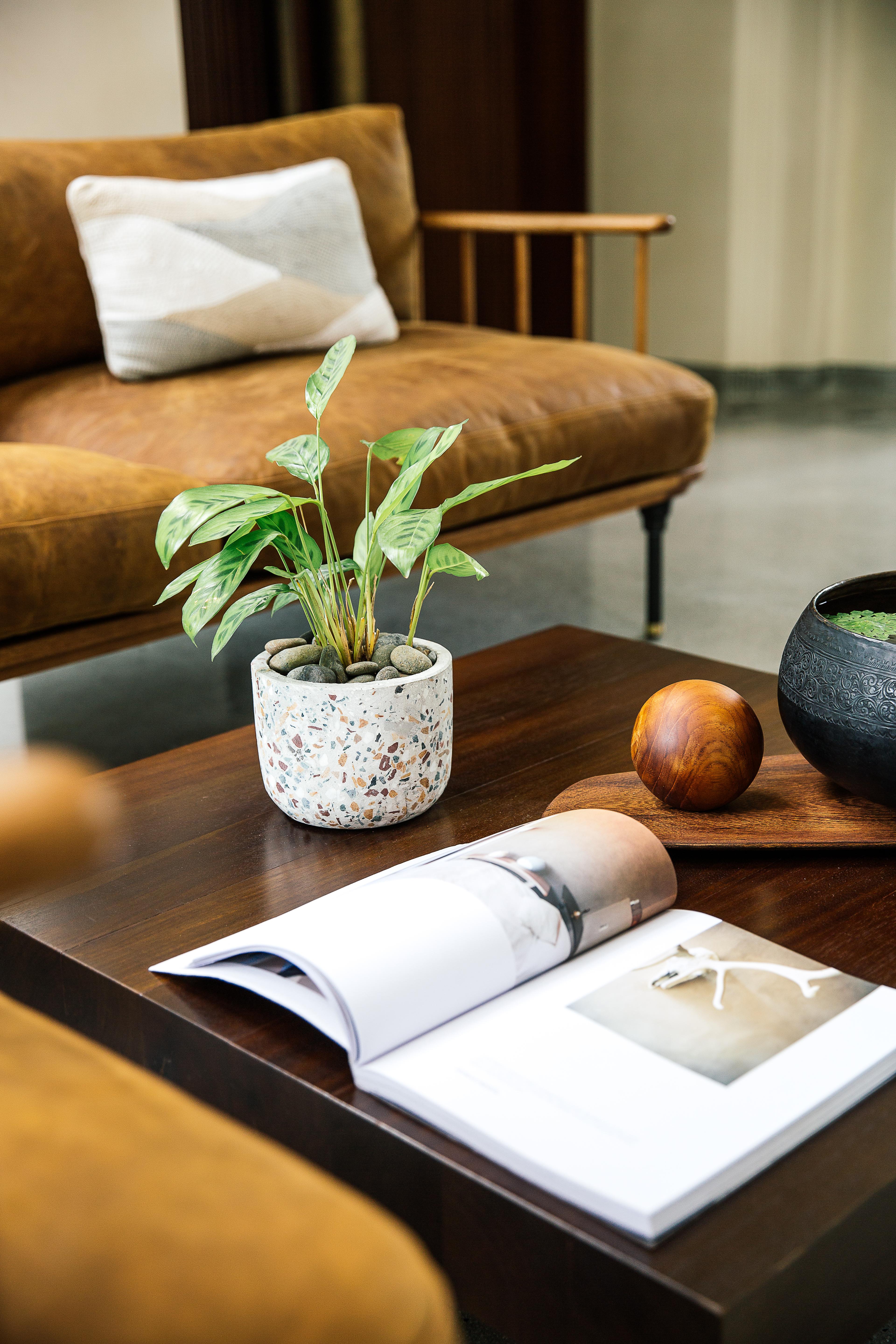 Treeline Urban Resort Siem Reap Zewnętrze zdjęcie
