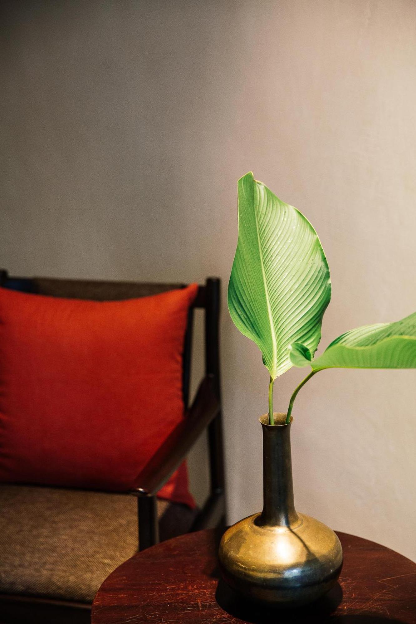 Treeline Urban Resort Siem Reap Zewnętrze zdjęcie