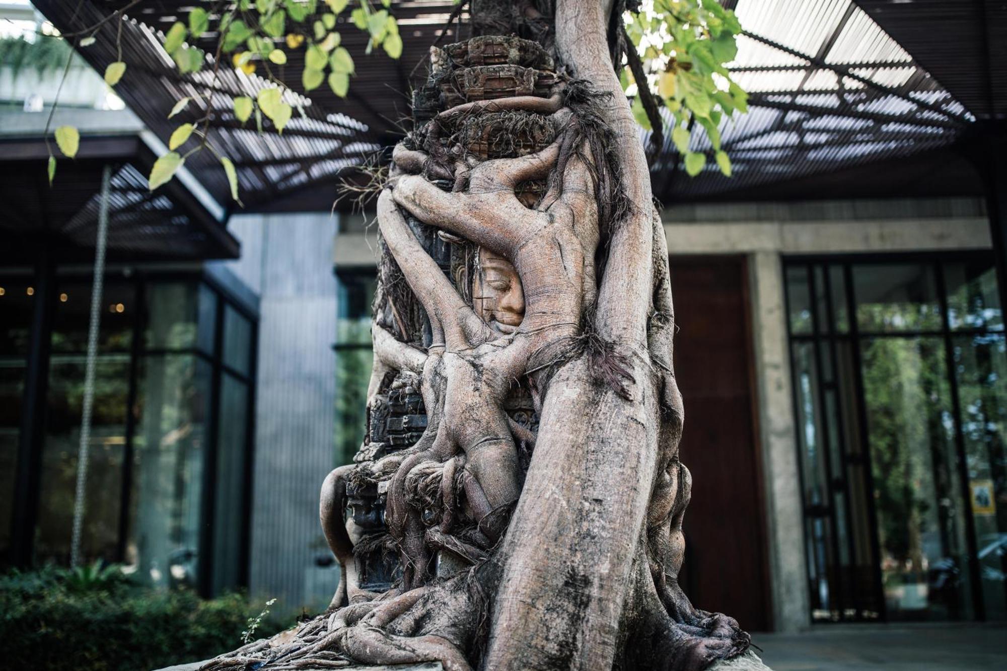 Treeline Urban Resort Siem Reap Zewnętrze zdjęcie