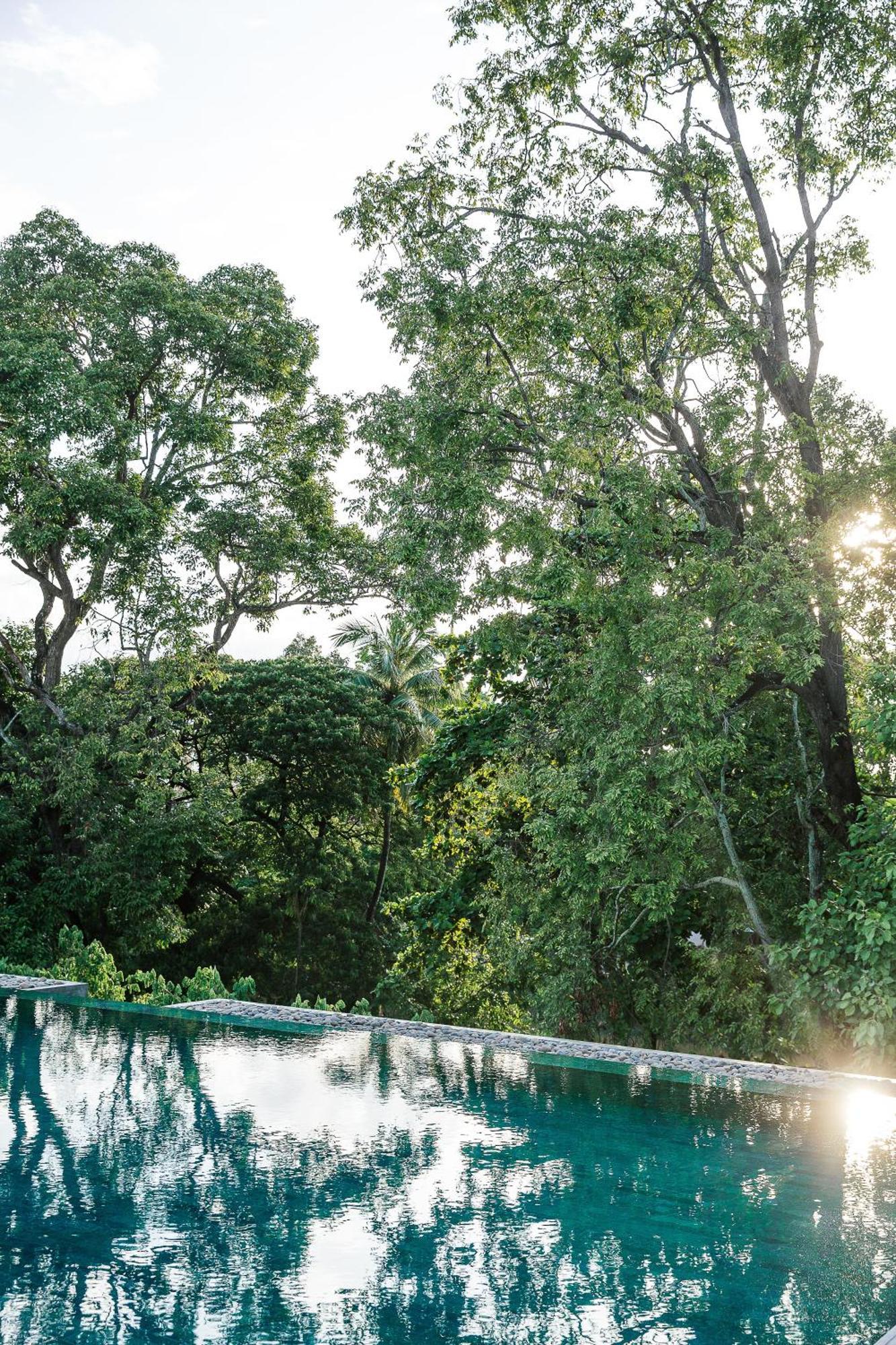 Treeline Urban Resort Siem Reap Zewnętrze zdjęcie