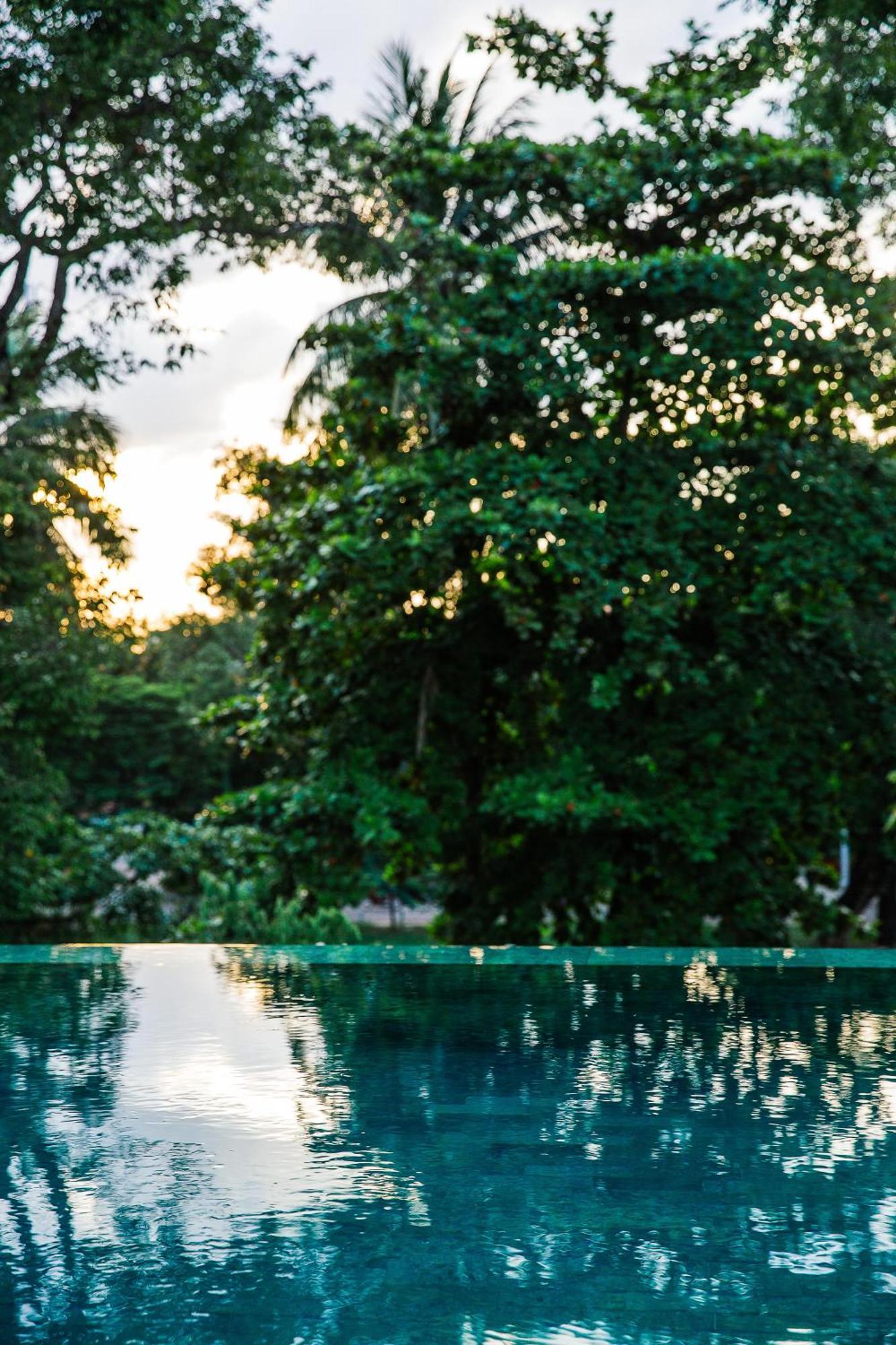 Treeline Urban Resort Siem Reap Zewnętrze zdjęcie